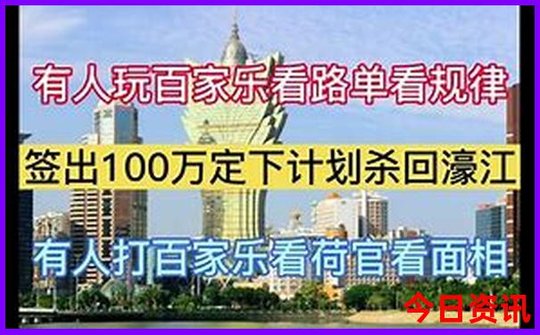 深中通道一日游详细攻略